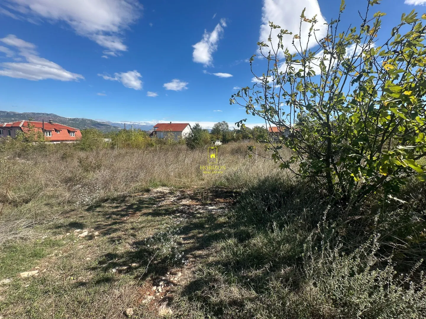 Pogled na prostrani plac sa rastinjem i okolnim kućama u pozadini.