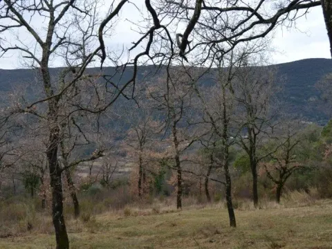 Sale, land lot, 9328m², Mojdež, Herceg Novi - image 4