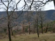 Sale, land lot, 9328m², Mojdež, Herceg Novi - image 4