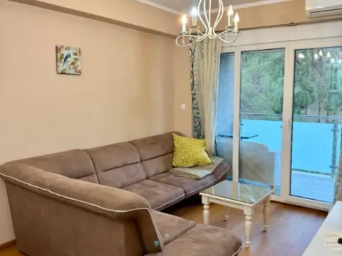 Rent, one bedroom apartment, 50m², Ostalo, Podgorica - image 13