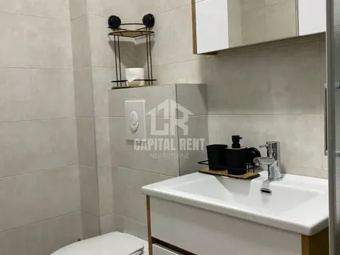 Rent, one bedroom apartment, 47m², Ledine, Beograd - image 9