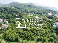 Prodaja, plac, 14000m², Sušćepan, Herceg Novi - image 2