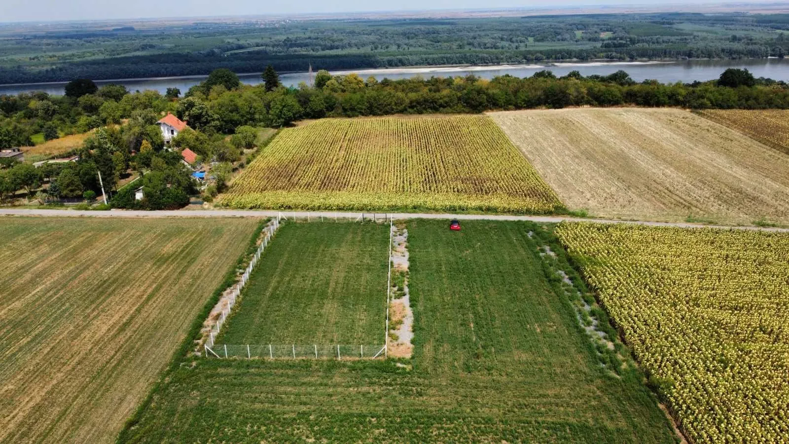 Prodaja, plac, 1000m², Čortanovci, Inđija