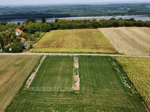 Prodaja, plac, 1000m², Čortanovci, Inđija - image 3