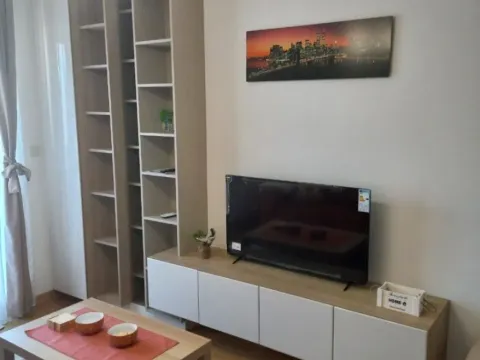 Izdavanje, jednosoban stan, 43m², City Kvart, Podgorica - image 11