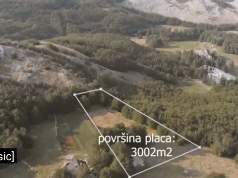Prodaja, plac, 3002m², Cetinje, Crna Gora - image 2