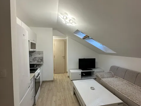 Izdavanje, jednosoban stan, 33m², Seljanovo, Tivat - image 6