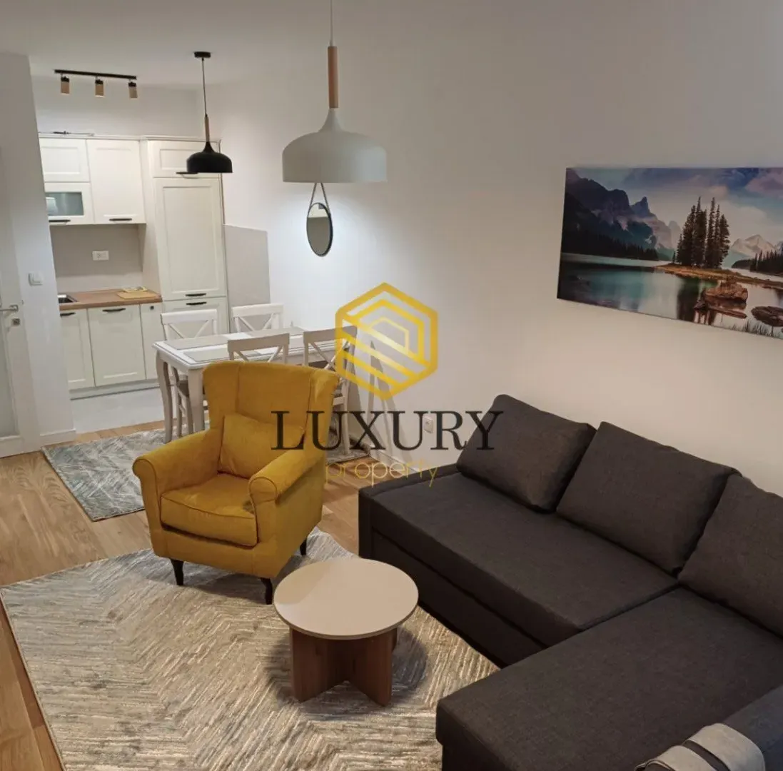 Izdavanje, jednosoban stan, 45m², Central Point, Podgorica