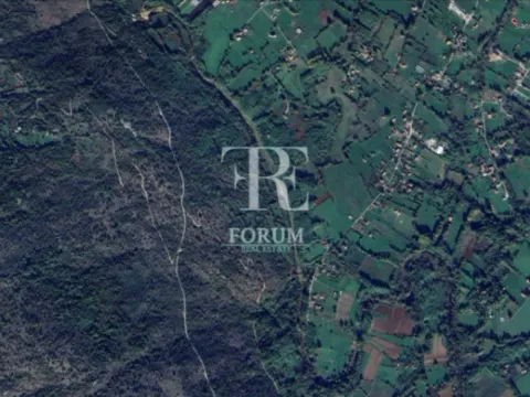 Sale, land lot, 103147m², Sladojevo Kopito, Danilovgrad