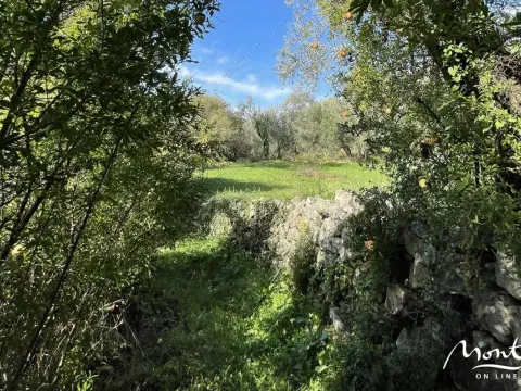 Prodaja, plac, 350m², Kavač, Kotor - image 11