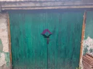 Izdavanje, poslovni prostor, 13m², Profesorska Kolonija, Palilula Sve Podlokacije - image 2