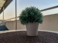 Izdavanje, jednosoban stan, 50m², Preko Morače, Podgorica - image 9