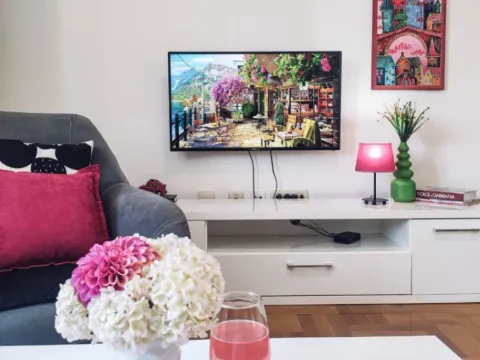 Stan-na-dan, jednosoban stan, 44m², Stari Aerodrom, Podgorica - image 2