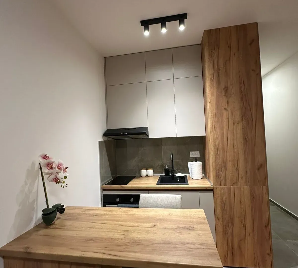 Rent, apartment, 24m², Zabjelo, Podgorica