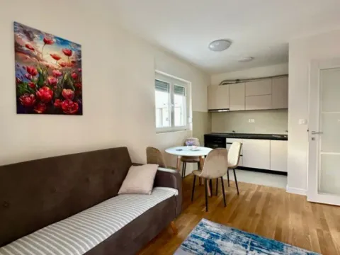 Izdavanje, jednosoban stan, 45m², Pobrežje, Podgorica - image 2