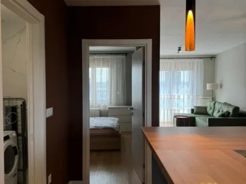 Izdavanje, jednosoban stan, 60m², Zemun Sve Podlokacije, Beograd - image 5