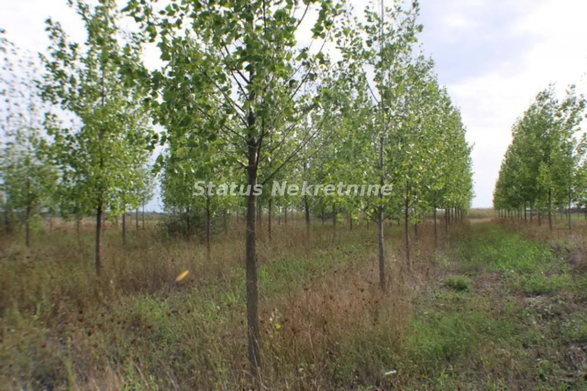 Prodaja, plac, 1378m², Zrenjanin, Srbija