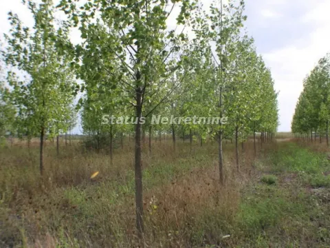 Prodaja, plac, 1378m², Zrenjanin, Srbija - image 21