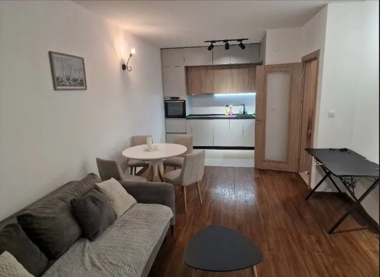Izdavanje, jednosoban stan, 50m², Central Point, Podgorica