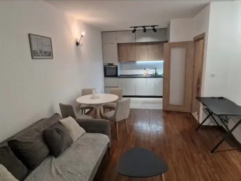 Izdavanje, jednosoban stan, 50m², Central Point, Podgorica - image 2