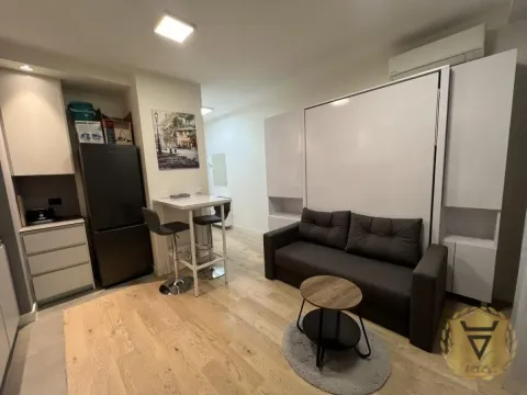 Izdavanje, jednosoban stan, 30m², Savski Venac, Beograd - image 5