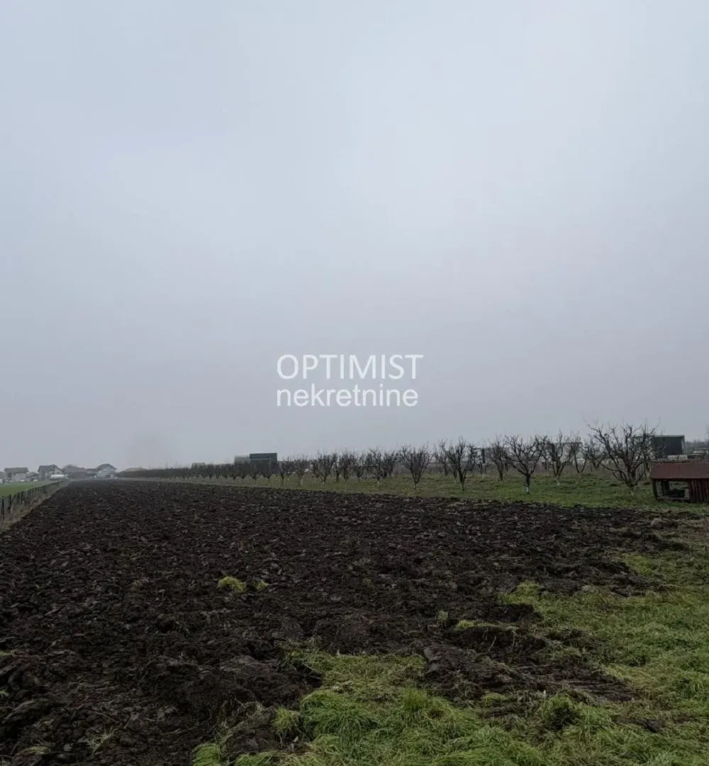 Prodaja, plac, 11000m², Zemun Ugrinovci, Zemun Sve Podlokacije