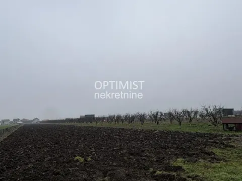 Sale, land lot, 11000m², Zemun Ugrinovci, Zemun Sve Podlokacije - image 7