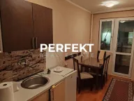 Izdavanje, jednosoban stan, 36m², Tesla, Pančevo - image 3