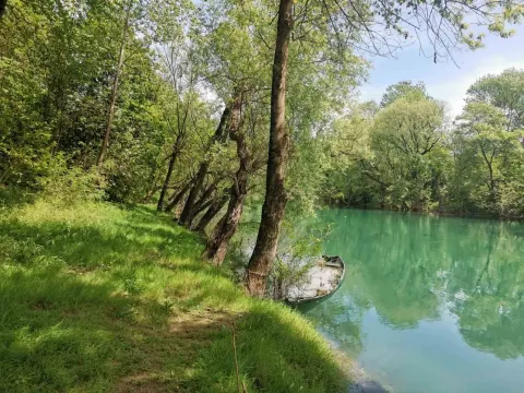 Zeleni plac pored mirne rijeke okružen drvećem. - image 8