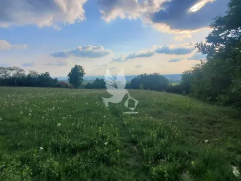 Prodaja, plac, 23000m², Mladenovac, Beograd - image 5