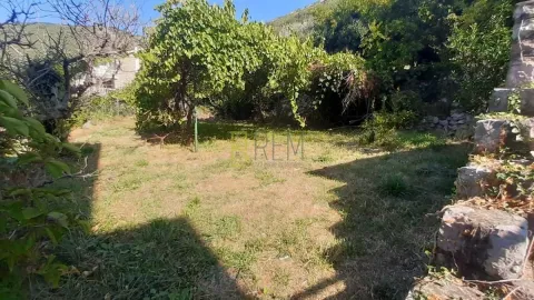 Zeleno dvorište sa travnjakom i rastinjem. - image 16