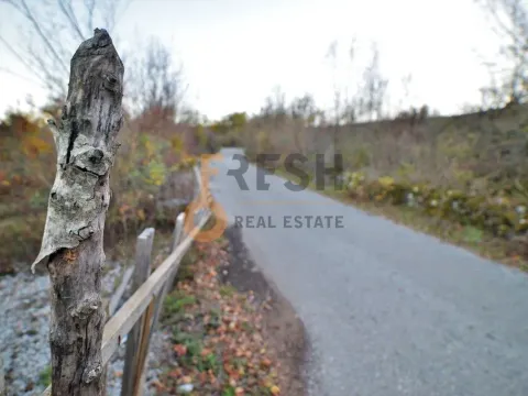 Prodaja, plac, 18000m², Danilovgrad, Crna Gora - image 3