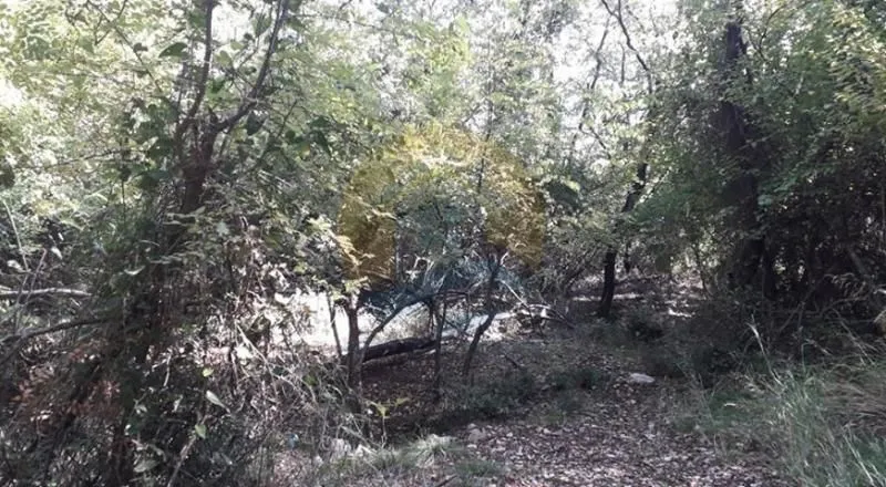 Prodaja, plac, 15000m², Perast, Kotor