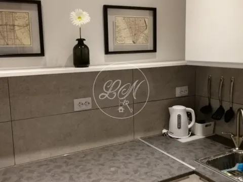 Izdavanje, jednosoban stan, 32m², Stari Grad, Beograd - image 9