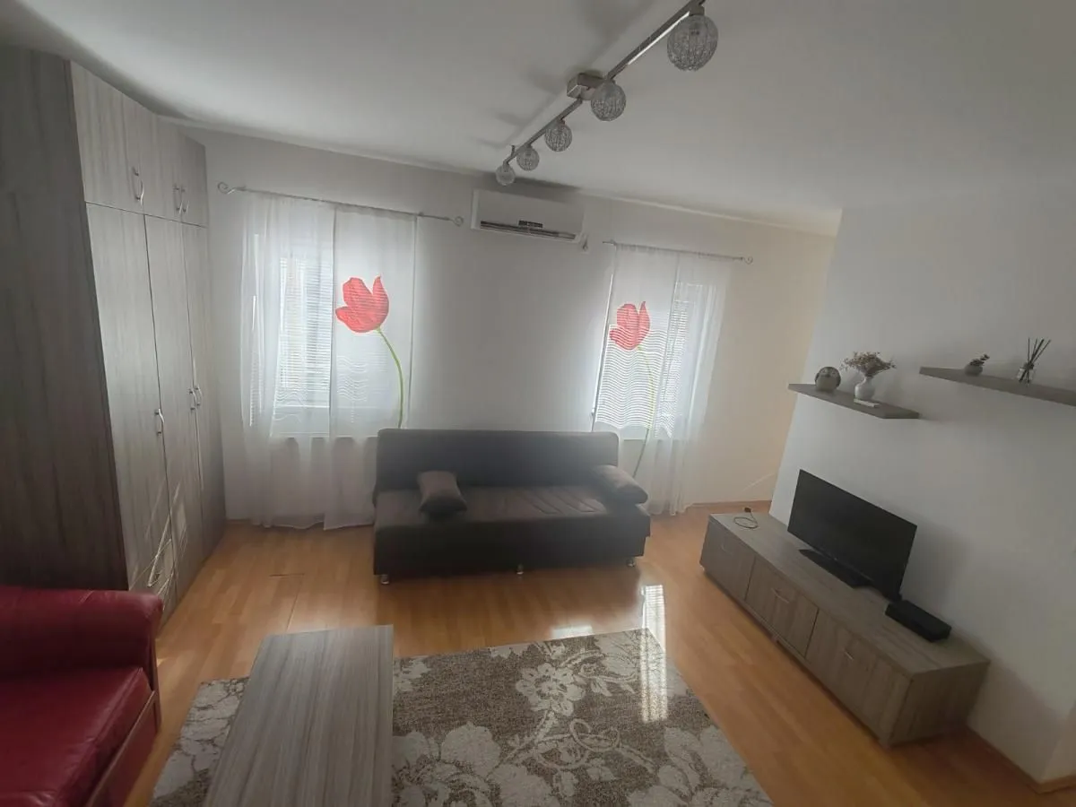 Rent, one bedroom apartment, 32m², Bulevar patrijarha Pavla, Novi Sad Sve Podlokacije