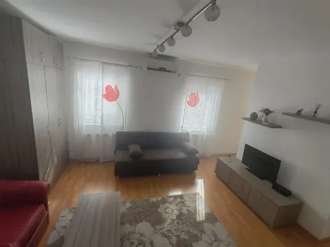 Rent, one bedroom apartment, 32m², Bulevar patrijarha Pavla, Novi Sad Sve Podlokacije - image 6