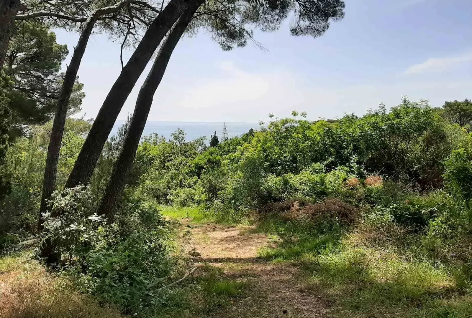 Prodaja, plac, 551m², Ulcinj, Crna Gora
