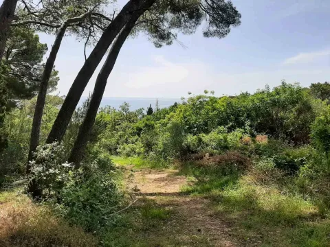 Prodaja, plac, 551m², Ulcinj, Crna Gora - image 2