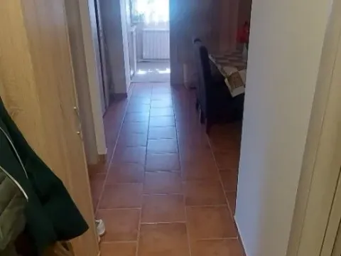 Prodaja, dvosoban stan, 50m², Bulevar Oslobodjenja, Novi Sad Sve Podlokacije - image 4