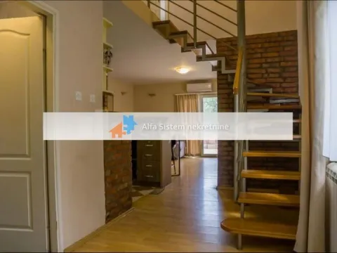 Rent, four bedroom apartment, 160m², Zvezdarska Šuma, Zvezdara Sve Podlokacije - image 14