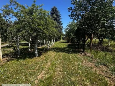 Prodaja, kuća, 40m², Bečej, Novi Sad - image 17