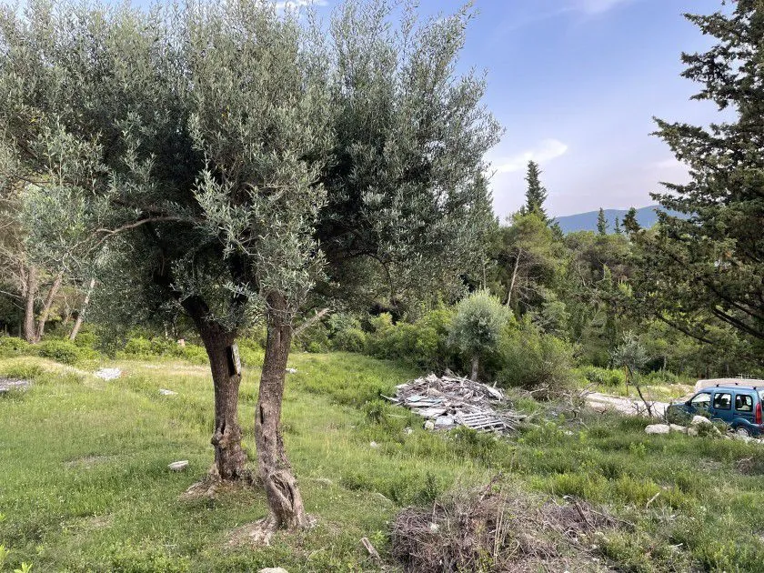 Prodaja, plac, 1353m², Herceg Novi, Crna Gora