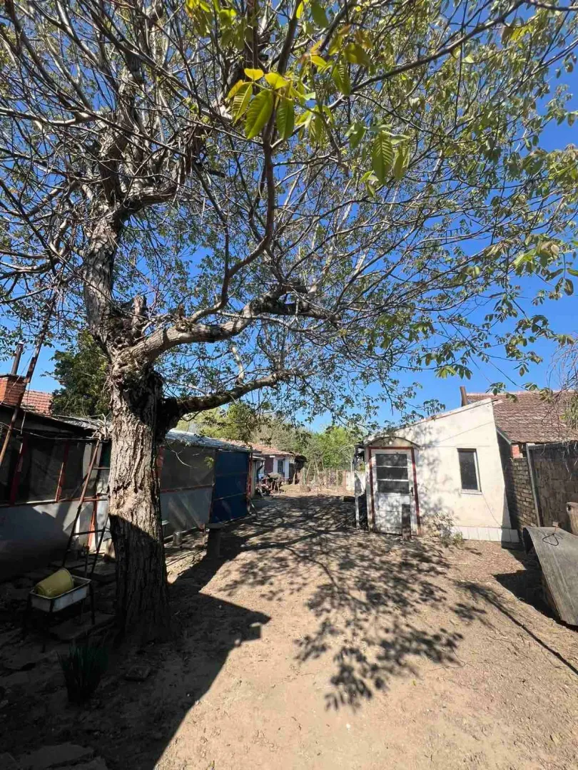 Prodaja, kuća, 94m², Kikinda, Srbija