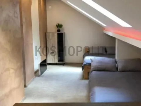 Sale, two bedroom apartment, 50m², Vračar Centar, Vračar Sve Podlokacije - image 4