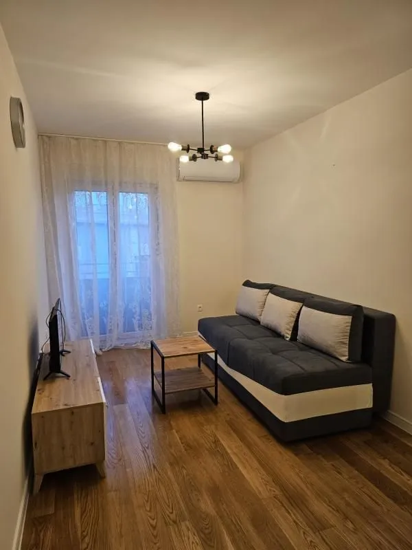 Rent, one bedroom apartment, 44m², Central Point, Podgorica