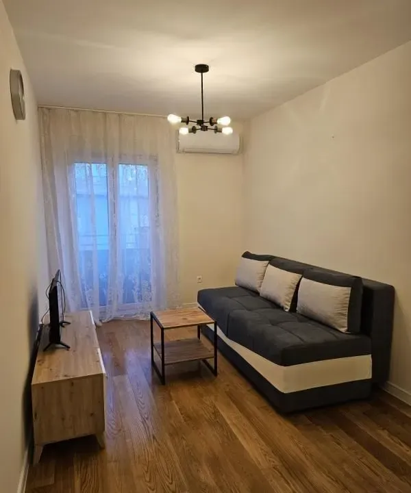 Rent, one bedroom apartment, 44m², Central Point, Podgorica