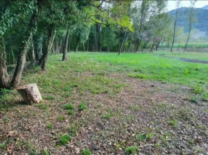 Prodaja, plac, 8500m², Frutak, Danilovgrad