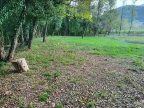 Sale, land lot, 8500m², Frutak, Danilovgrad - image 5