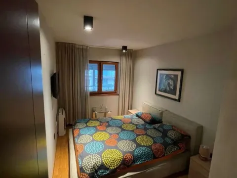 Izdavanje, jednosoban stan, 48m², Tološi, Podgorica - image 5