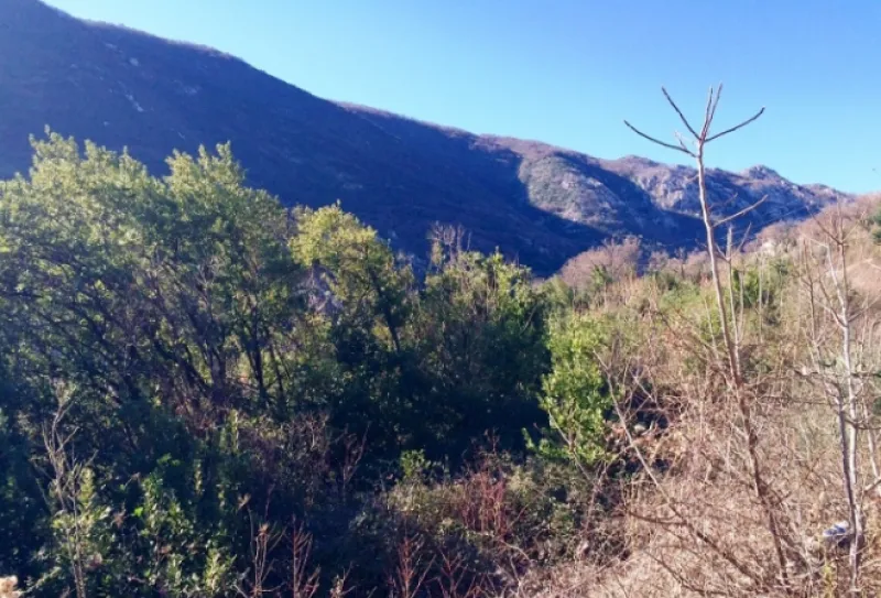 Prodaja, plac, 500m², Morinj, Kotor